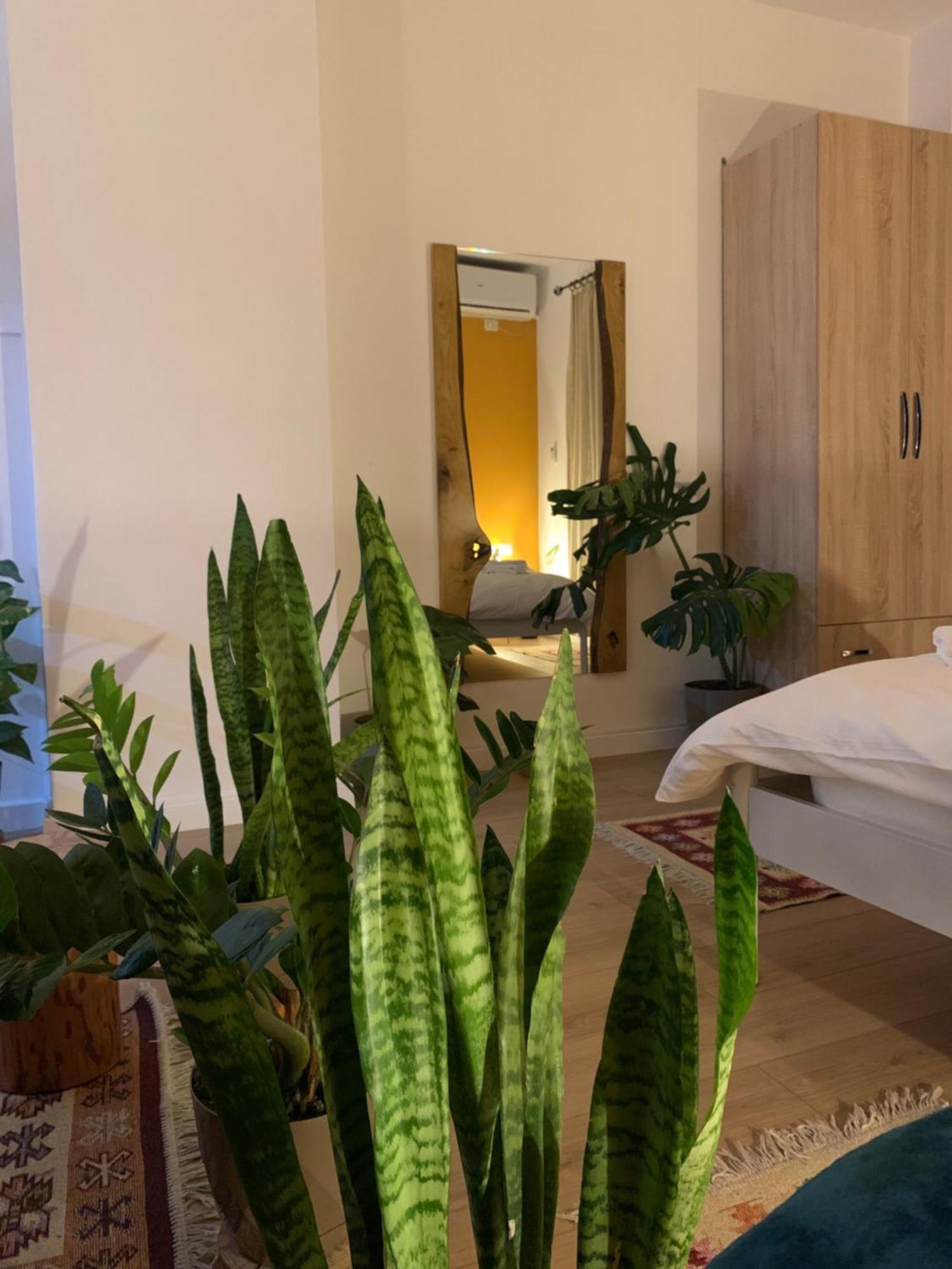 Vibe Studio Apartment Тирана Экстерьер фото